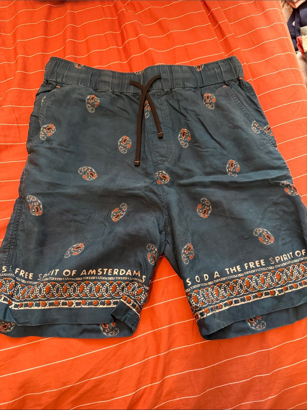 Scotch & Soda Navy Blue Paisley Board Shorts
